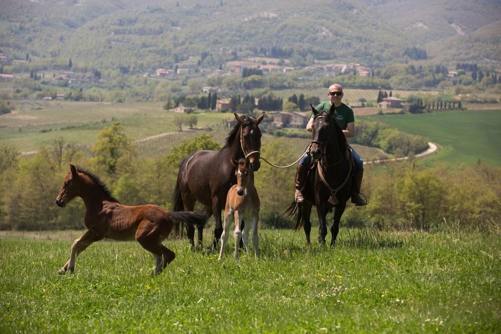 Poggiovalle Tenuta Italiana Città della Pieve Екстериор снимка