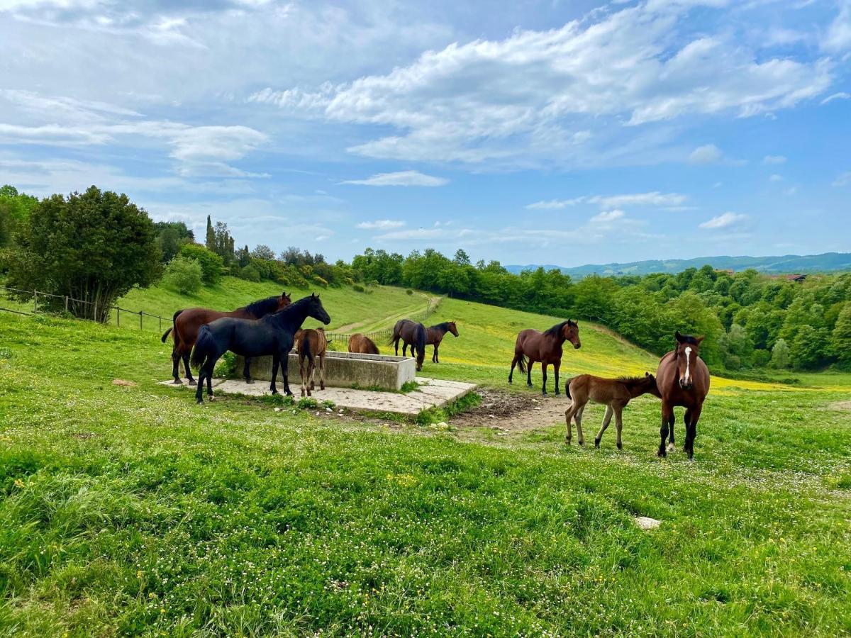 Poggiovalle Tenuta Italiana Città della Pieve Екстериор снимка